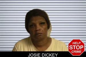 Josie Dickey mugshot