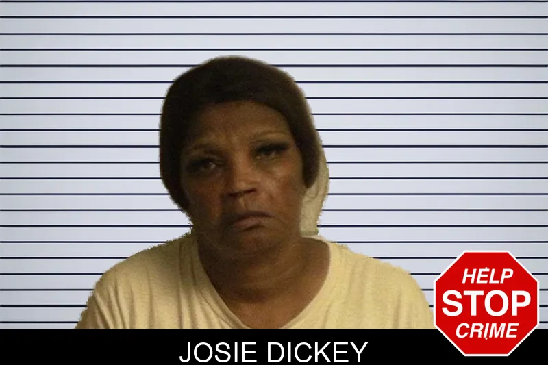 Josie Dickey mugshot