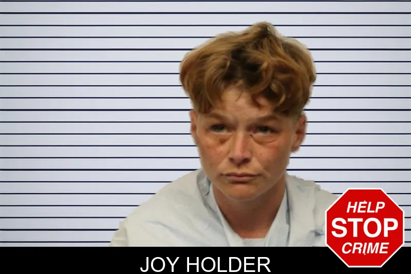 Joy Holder mugshot