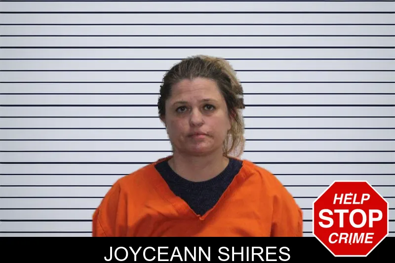 JoyceAnn Shires mugshot