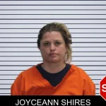 JoyceAnn Shires mugshot
