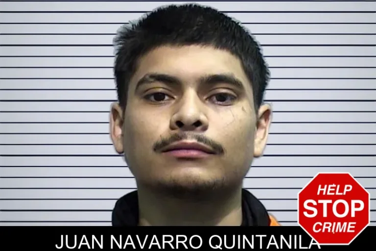 Juan Navarro Quintanila