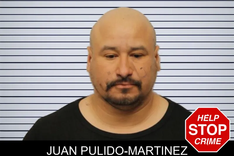 Juan Pulido-Martinez mugshot