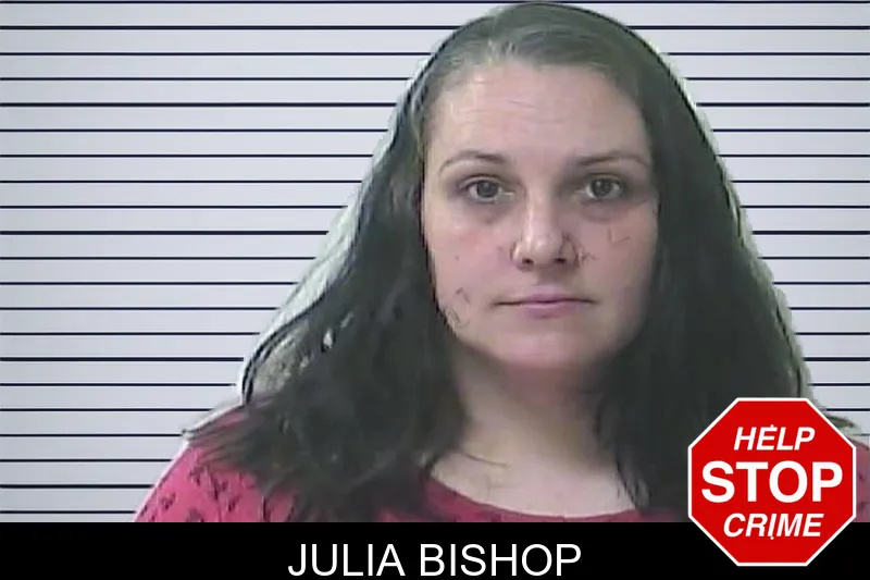 Julia Bishop mugshot