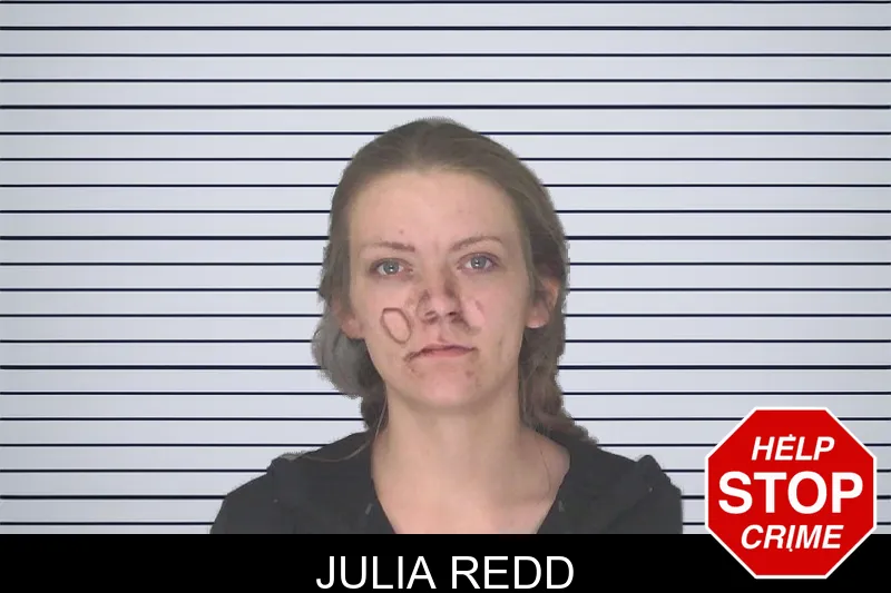 Julia Redd mugshot – Douglas County , Georgia Julia Redd mugshot