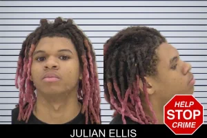 Julian Ellis mugshot