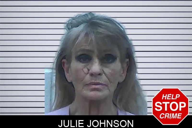 Julie Johnson mugshot
