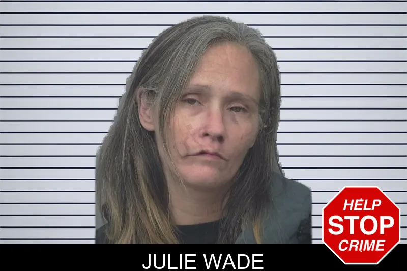 Julie Wade mugshot – Gwinnett County , Georgia Julie Wade mugshot