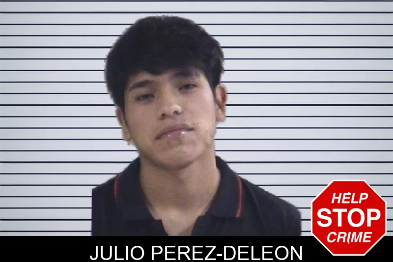 Julio Perez-Deleon mugshot
