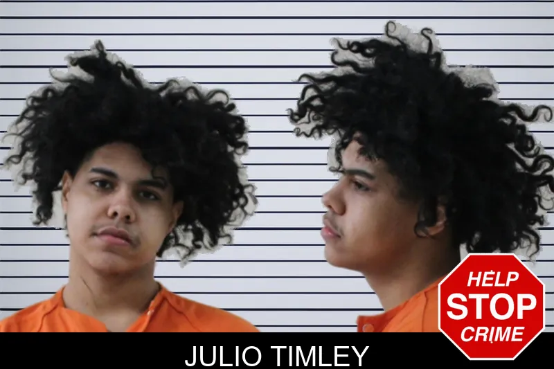 Julio Timley mugshot