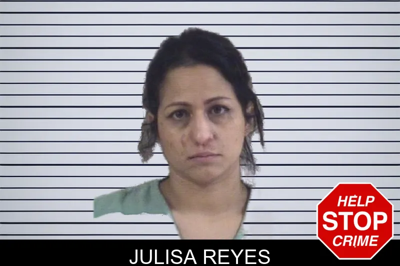 Julisa Reyes mugshot