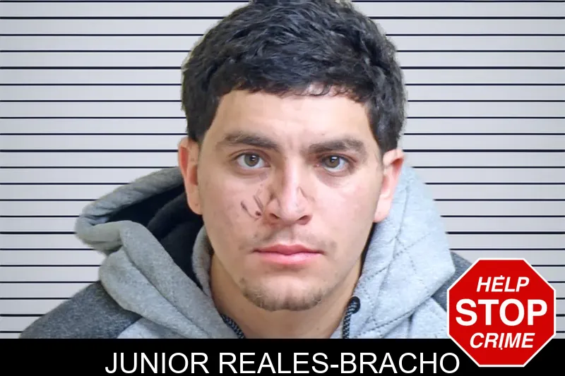 Junior Reales-Bracho mugshot – Gwinnett County , Georgia Junior Reales-Bracho mugshot