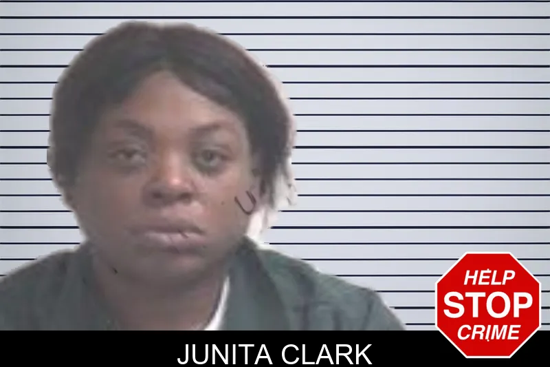 Junita Clark mugshot