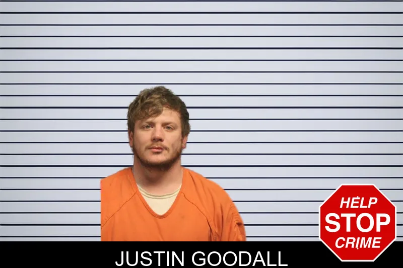 Justin Goodall mugshot