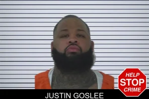Justin Goslee mugshot