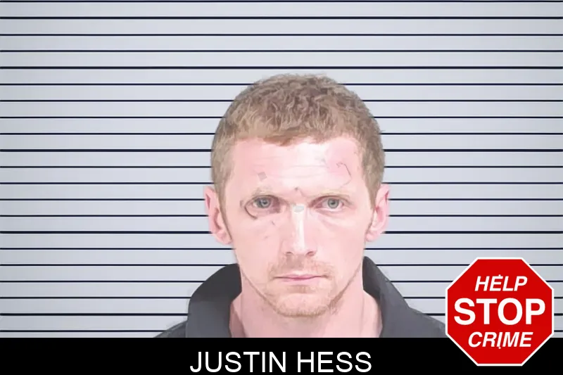Justin Hess mugshot