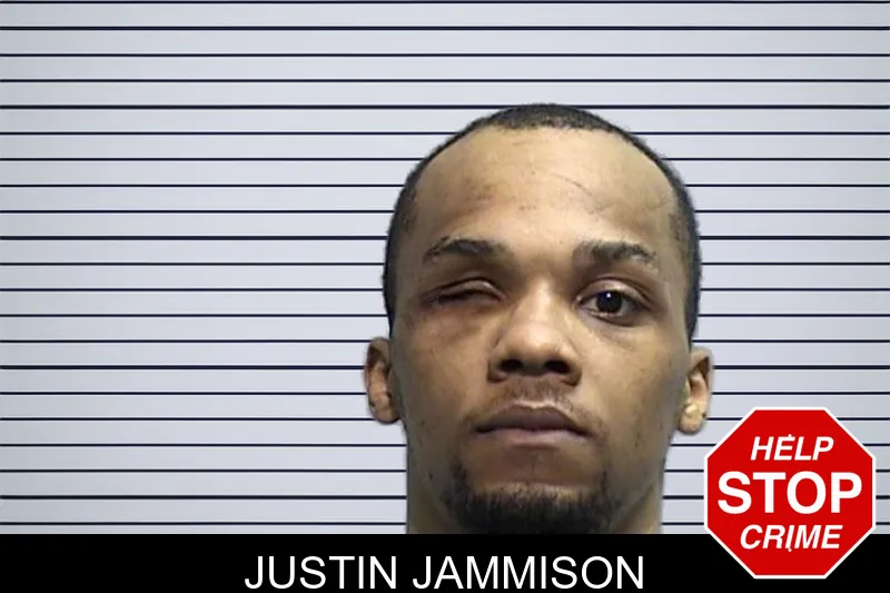 Justin Jammison mugshot – Effingham County , Georgia Justin Jammison mugshot