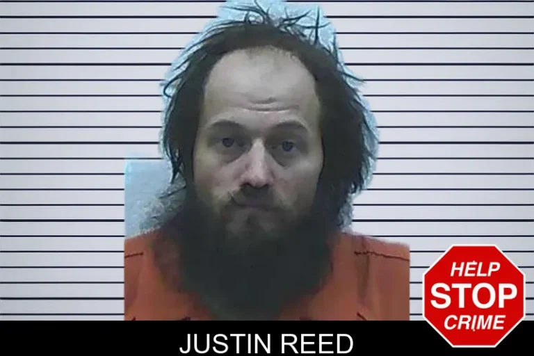 Justin Reed mugshot – Jackson County , Georgia Justin Reed