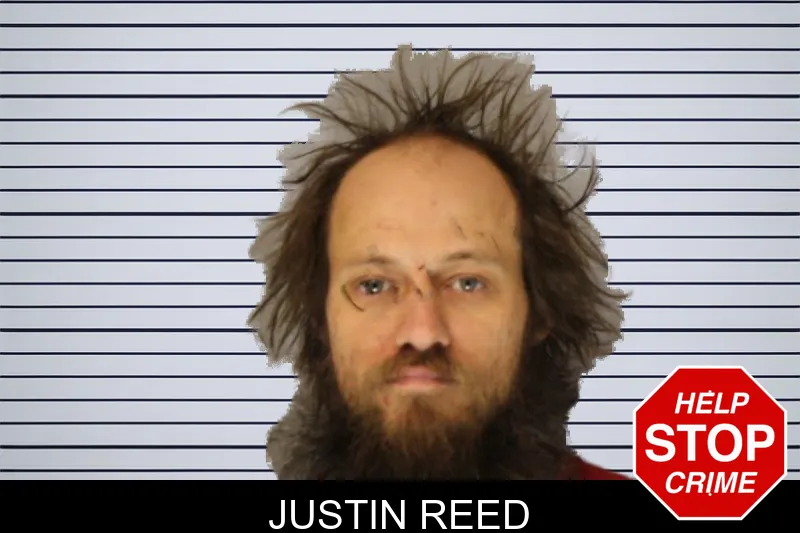 Justin Reed mugshot