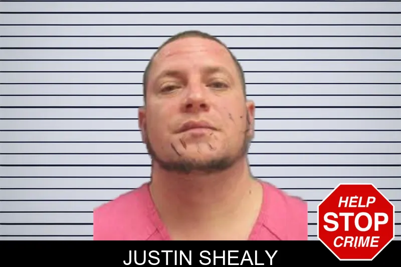 Justin Shealy mugshot