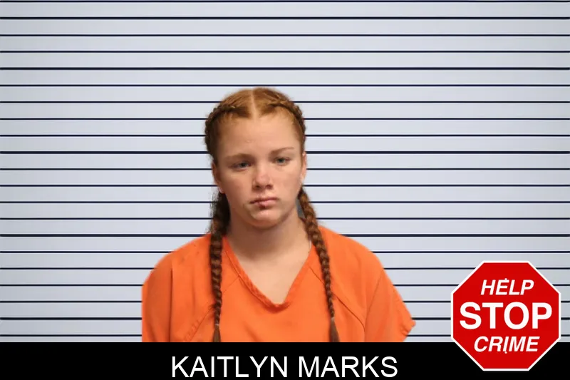 Kaitlyn Marks mugshot – Lumpkin County , Georgia Kaitlyn Marks mugshot