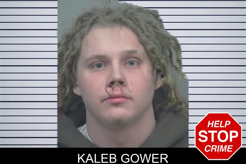 Kaleb Gower mugshot
