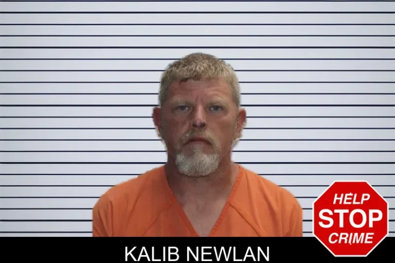 Kalib Newlan mugshot – Murray County , Georgia Kalib Newlan