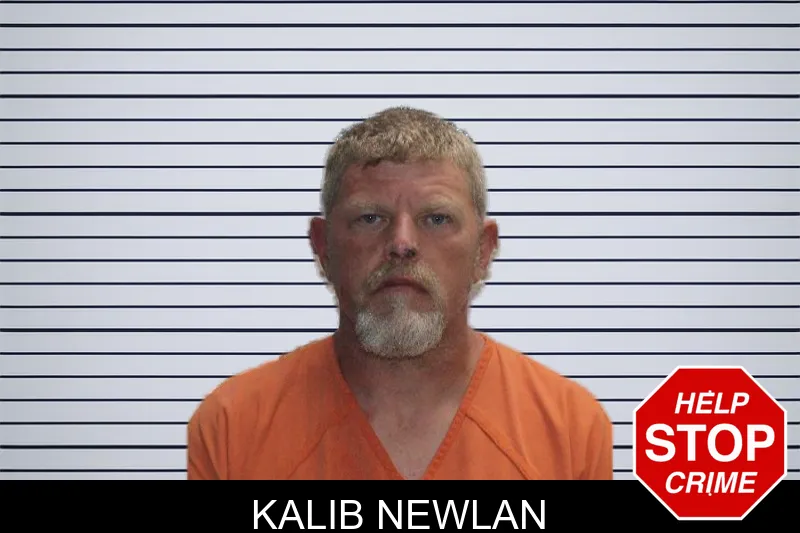 Kalib Newlan mugshot