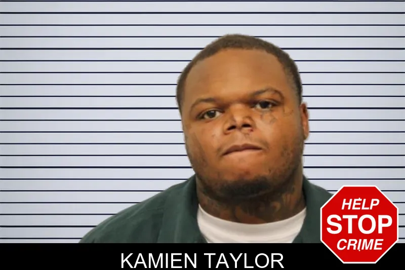 Kamien Taylor mugshot