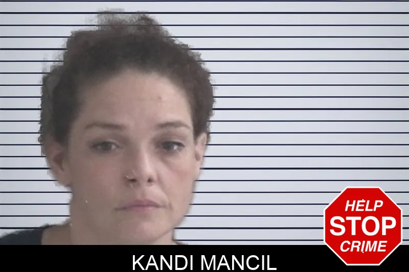 Kandi Mancil mugshot – Brantley County , Georgia Kandi Mancil mugshot