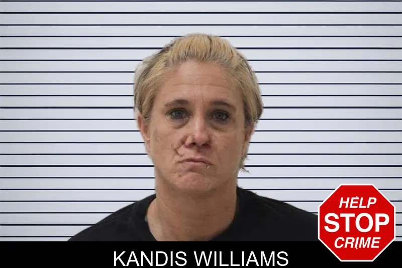 Kandis Williams mugshot