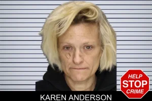 Karen Anderson mugshot