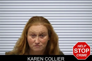 Karen Collier mugshot