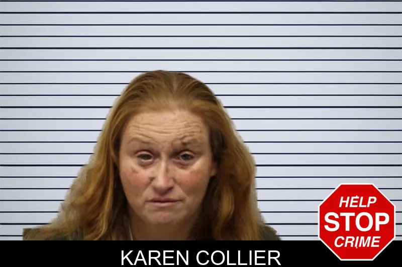 Karen Collier mugshot – Chatham County , Georgia Karen Collier mugshot