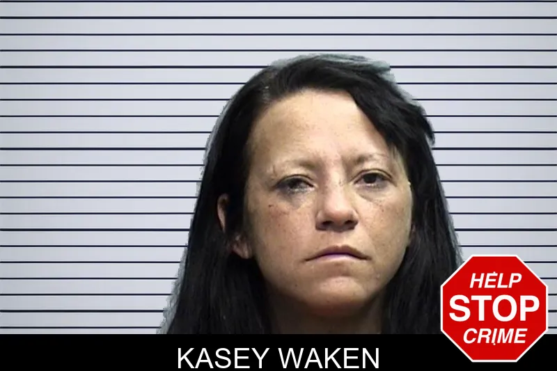 Kasey Waken mugshot – Effingham County , Georgia Kasey Waken mugshot