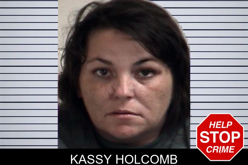 Kassy Holcomb mugshot – Henry County , Georgia Kassy Holcomb mugshot