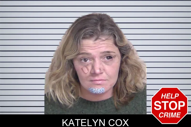 Katelyn Cox mugshot