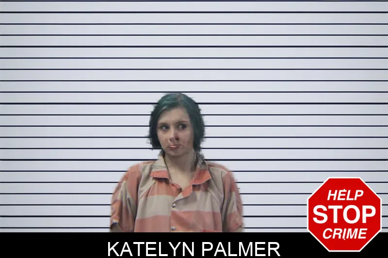Katelyn Palmer mugshot