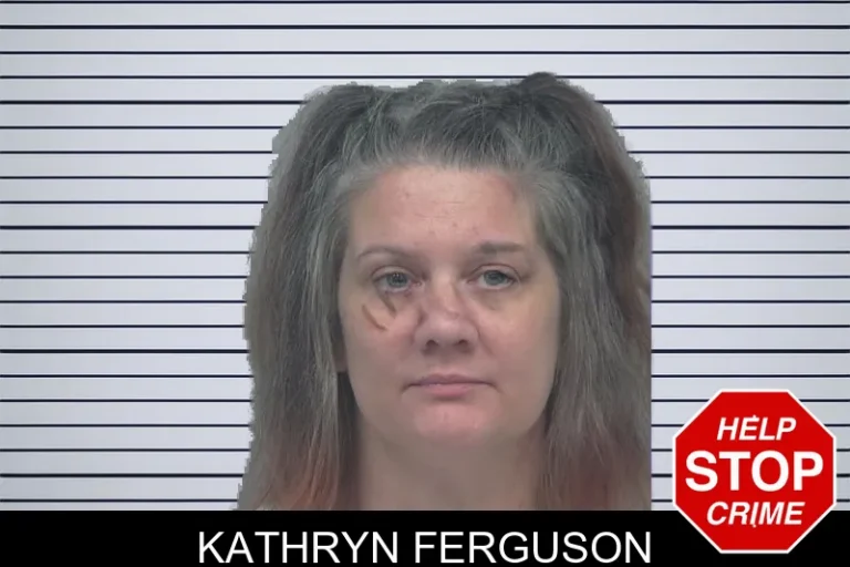 Kathryn Ferguson mugshot – Gwinnett County , Georgia Kathryn Ferguson
