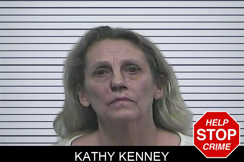 Kathy Kenney mugshot – Dawson County , Georgia Kathy Kenney mugshot