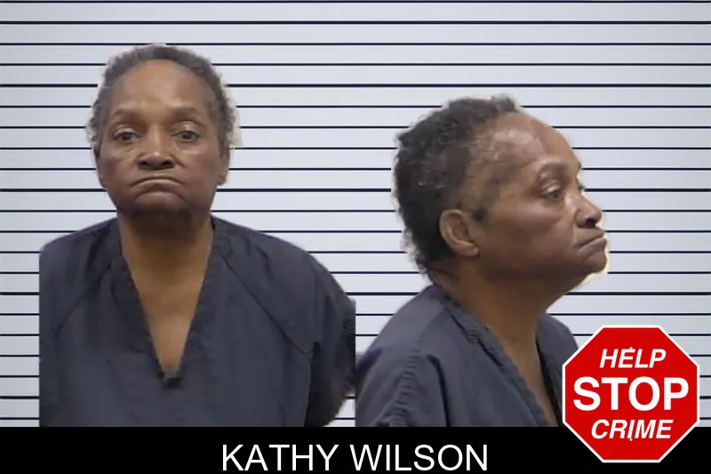 Kathy Wilson mugshot