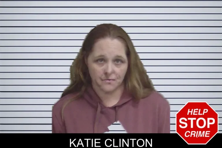 Katie Clinton mugshot – Wayne County , Georgia Katie Clinton