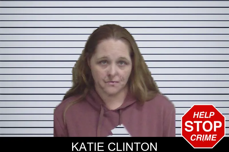 Katie Clinton mugshot – Wayne County , Georgia Katie Clinton mugshot