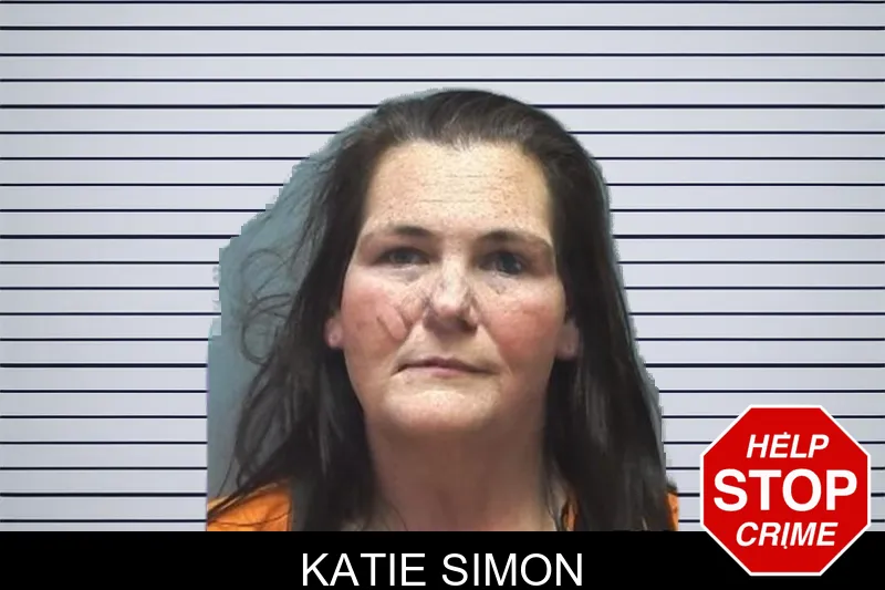 Katie Simon mugshot