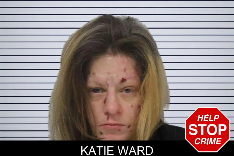Katie Ward mugshot