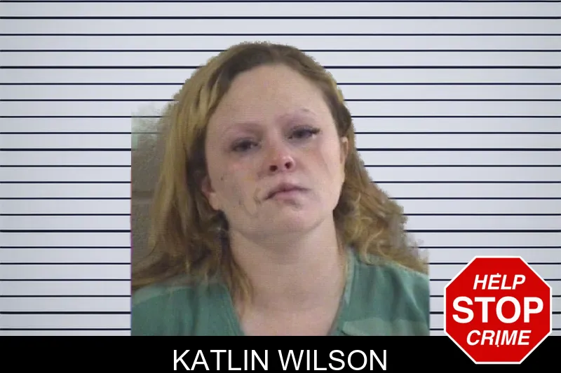 Katlin Wilson mugshot