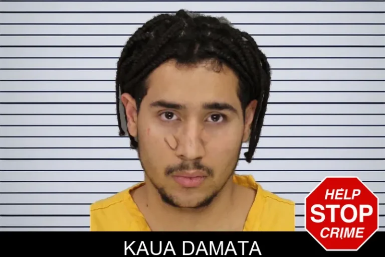 Kaua Damata