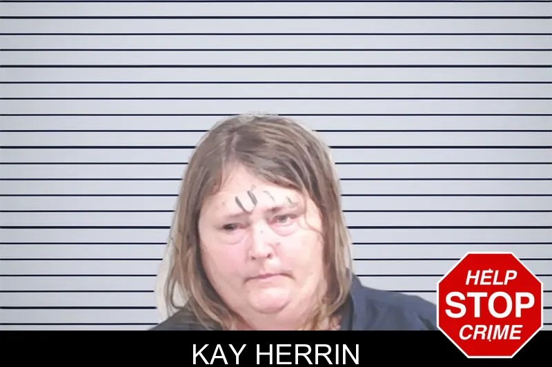 Kay Herrin mugshot