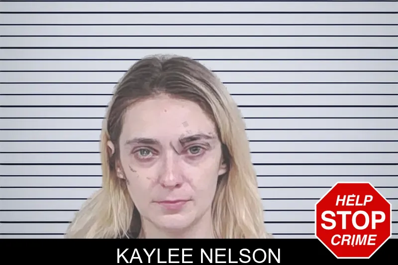 Kaylee Nelson mugshot – Lowndes County , Georgia Kaylee Nelson mugshot
