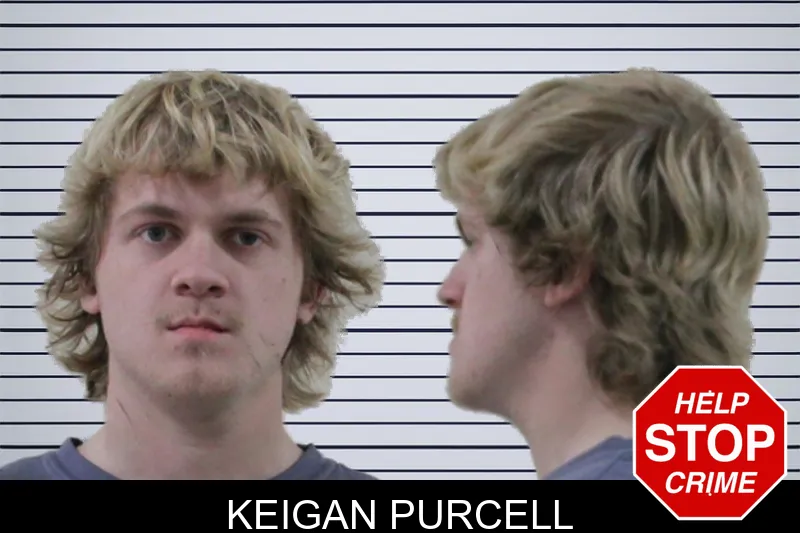 Keigan Purcell mugshot